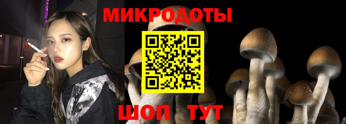 Галлюциногенные грибы GOLDEN TEACHER Архангельск